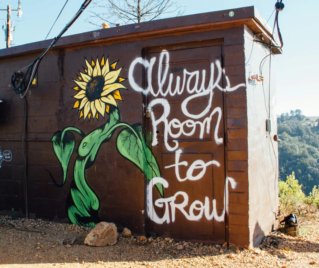 always-room-to-grow