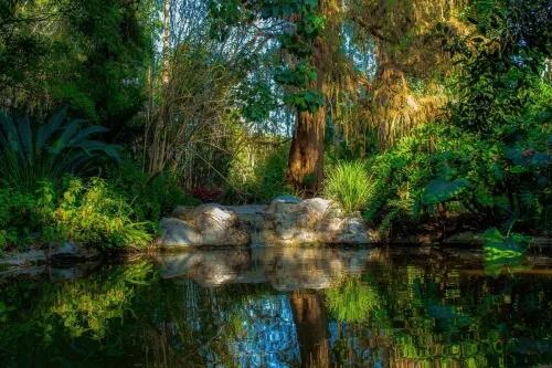 Meditation Garden